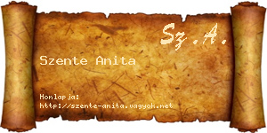 Szente Anita névjegykártya